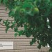 Сайдинг Ю-Пласт TIMBERBLOCK Пихта (Тимберблок) Cахалинская купить в Обнинске