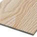 Фиброцементные панели FCSPRO Decor Wood Лиственница купить в Обнинске