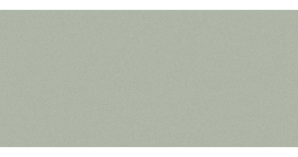 Сайдинг CEDRAL smooth (гладкий) С06 купить в Обнинске